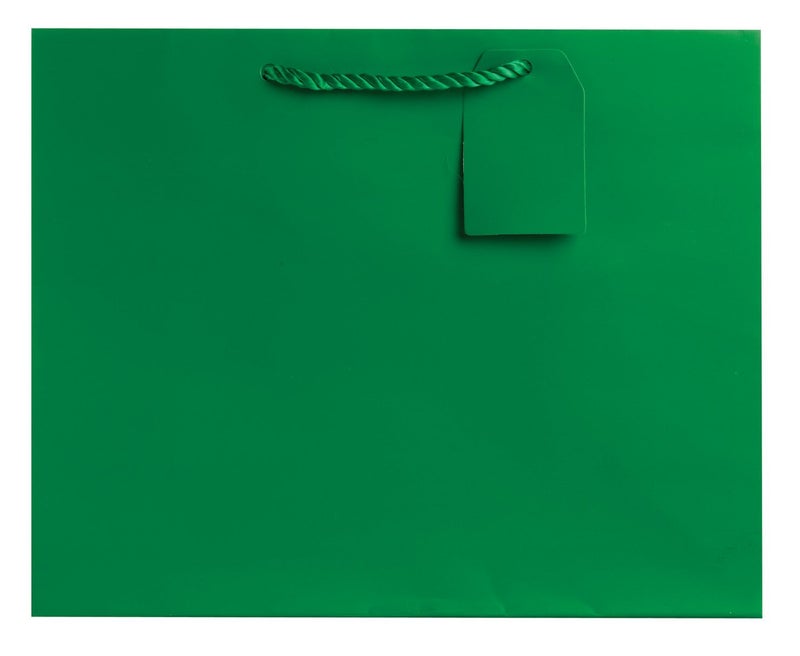Jillson Roberts 6-Count Large 12.5" x 10" x 5" Gift Bags Available in 12 Solid Colors, Green Matte - Image 1